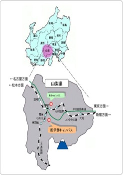 accessMap