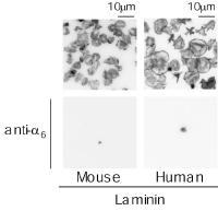 fig.2.jpg