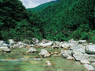 Minami Alps Mountain Area