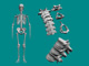 Orthopaedic Surgery