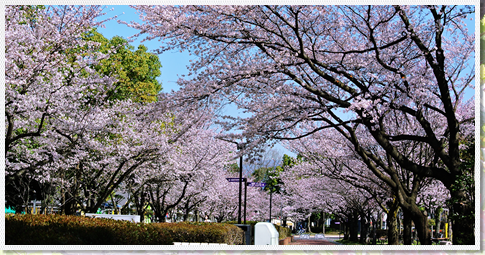 山梨大学大学院医学工学総合研究部 地域医療臨床研修学講座 イメージフォト