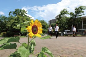 山梨大学オープンキャンパス2019案内