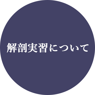 解剖実習について