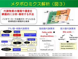 メタボロミクス解析