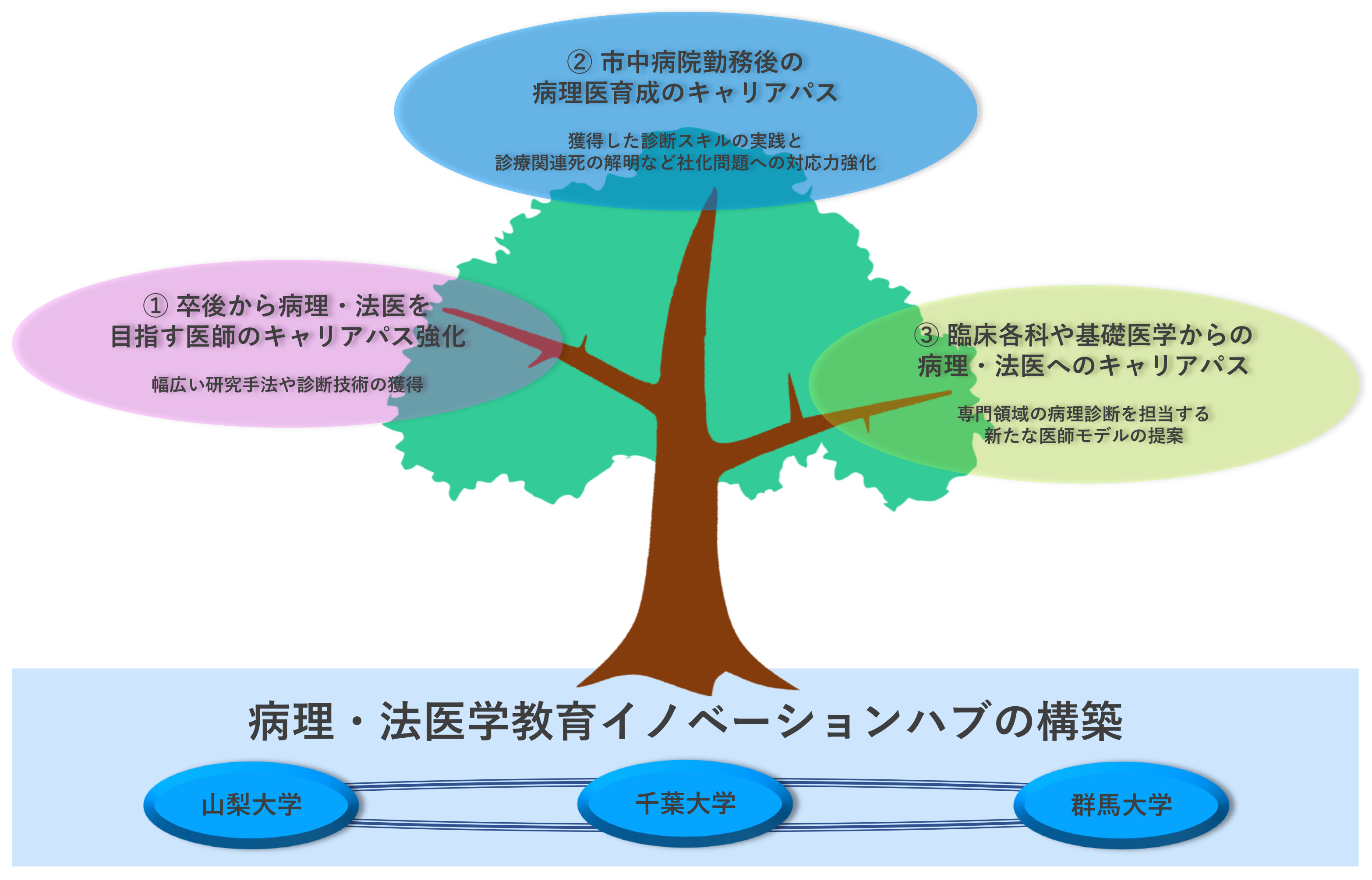 病理・法医学教育イノベーションハブの構築-ポンチ図