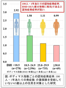 痩せ型の認知症発生リスクが高いと報告